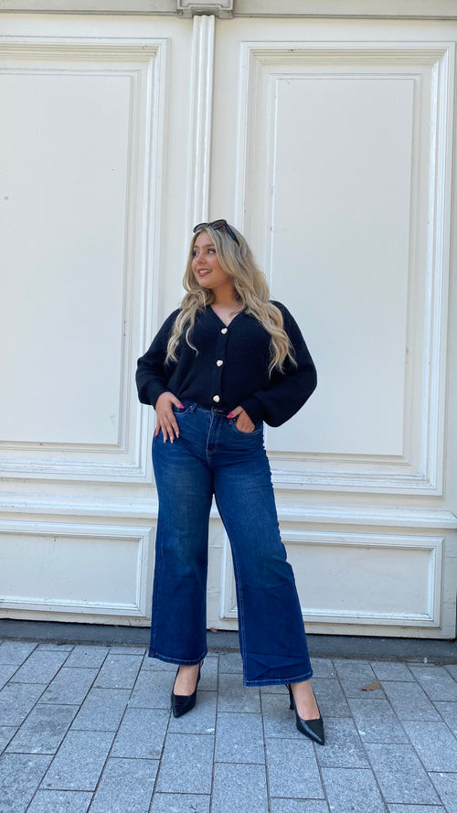 Fox Factor Dixi Brooklyn Blue Wide Leg Jeans For Curves