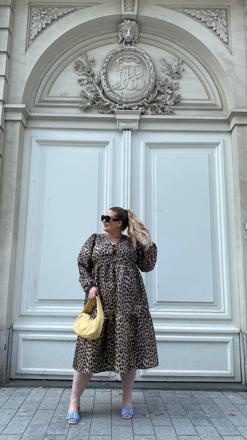 Ciana 116 Leopard Dress by Anyday